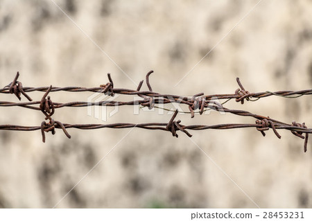 Close up of barbed wire 28453231
