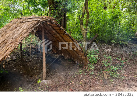 House of vedda people House of vedda people 28453322