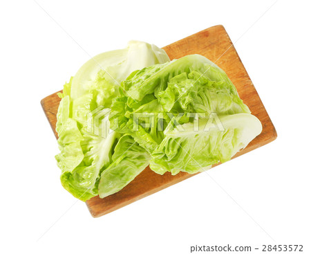 Little gem lettuce Little gem lettuce 28453572