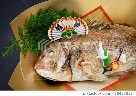 Celebration Snapper 28453832