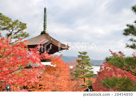 Jodokoji寺廟在秋天，高岡 28454850