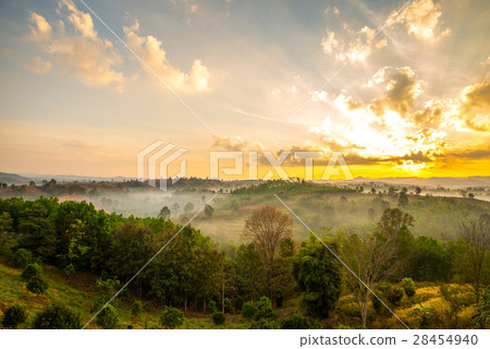amazing of light 7 amazing of light 7 28454940