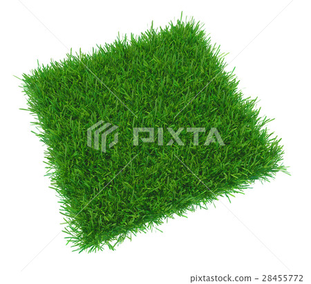 green grass meadow 28455772