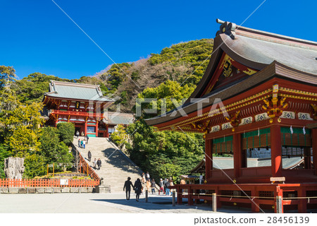 Kamakura Tsurugaoka Hachimangu Shrine和Mai 28456139
