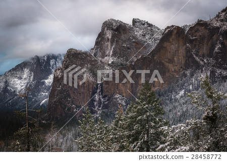Landscape of Yosemite National Park Landscape of Yosemite National Park 28458772