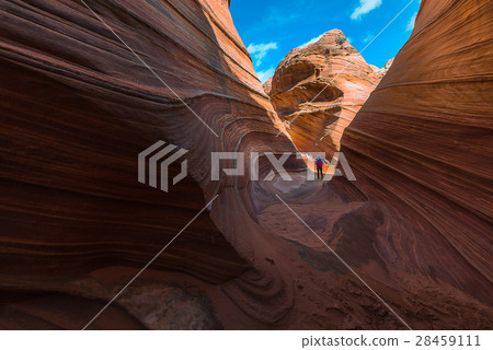 The Wave, Navajo Sandstone, Arizona 28459111