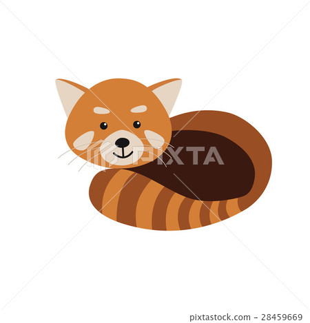 Red Panda isolated on white background Red Panda isolated on white background 28459669