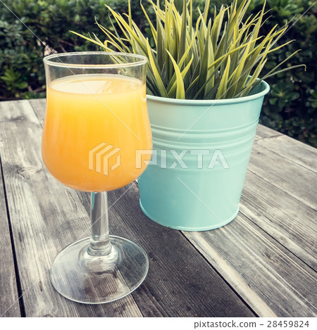 Close-up of glass  orange juice and green plant 28459824