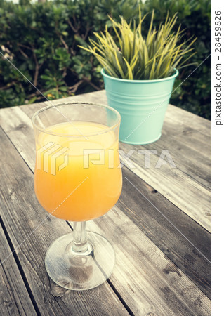 Closeup of glass of juice and plant in the pot on 28459826