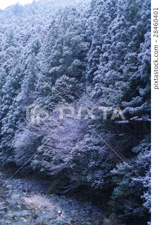 雪神山 雪神山 28460401