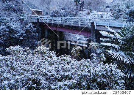 Snow Kamiyama 28460407