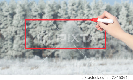 Hand Writing with marker over snowy forest.  28460641
