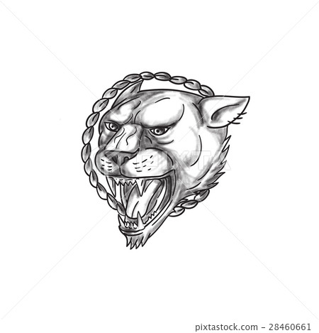 Lioness Growling Rope Circle Tattoo 28460661