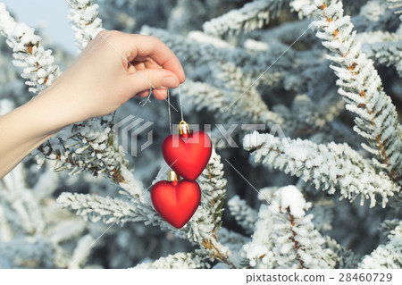 Hand holding two hearts outdoor over snowy pine Hand holding two hearts outdoor over snowy pine 28460729