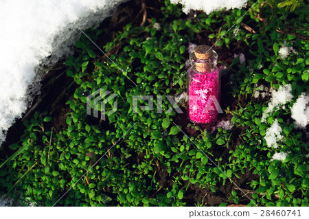 Jar with purple stars over the grass Jar with purple stars over the grass 28460741