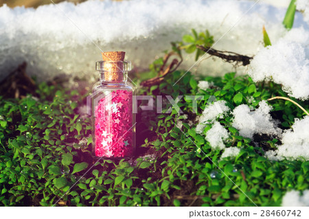 Glass bottle with purple star in the forest. Glass bottle with purple star in the forest. 28460742