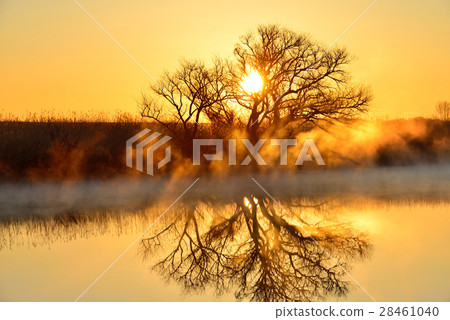 Watarase Setoji Watarase Setoji 28461040