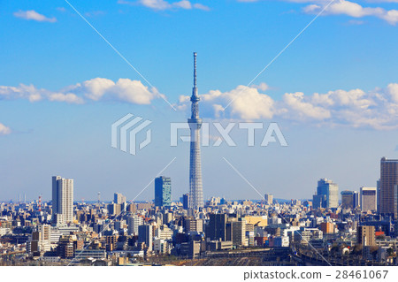 View of the Tokyo Sky Tree from the Prince's Kita and Pia View of the Tokyo Sky Tree from the Prince's Kita and Pia 28461067