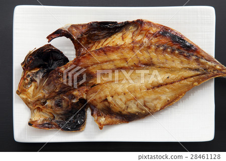 Hiragana asiatica 28461128