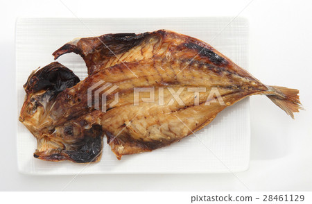 Hiragana asiatica 28461129