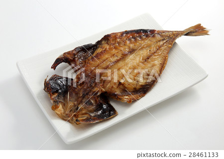 Hiragana asiatica Hiragana asiatica 28461133