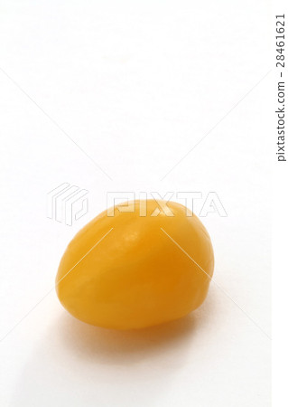 Ginkgo Ginkgo 28461621