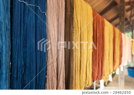 Colorful of raw multi colored cotton thread. 28462850