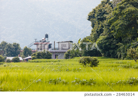 Nepal countryside. Nepal countryside. 28463014