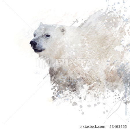 Polar Bear Watercolor 28463365