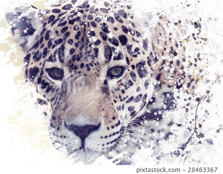 Leopard Portrait Watercolor 28463367