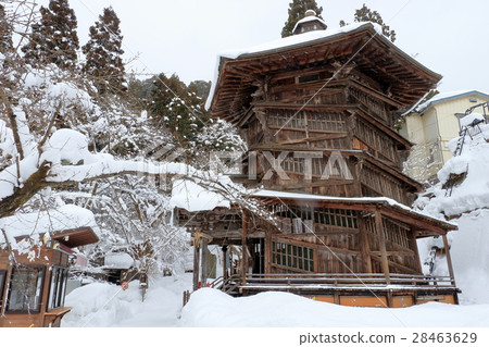 Winter's Sazabe 28463629