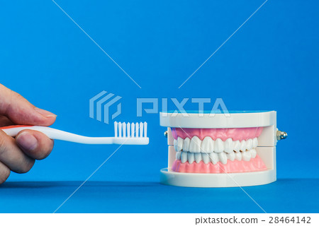 牙刷牙科護理 28464142