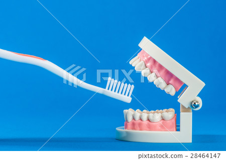 Toothbrush dental care 28464147