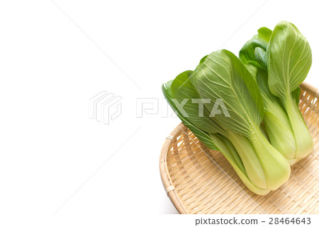 Qing-geng-cai  28464643