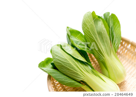藍栗子 28464649