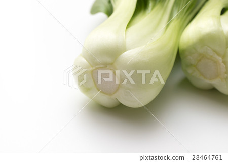 藍栗子 28464761