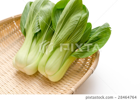 藍栗子 28464764