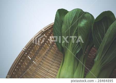 藍栗子 藍栗子 28464895