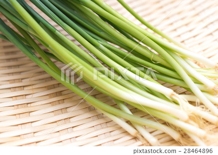 A small onion 28464896