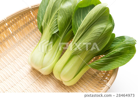 Qing-geng-cai  28464973