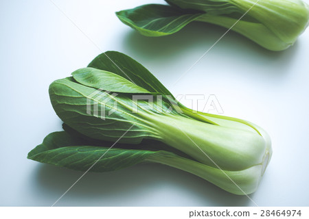 Qing-geng-cai  28464974