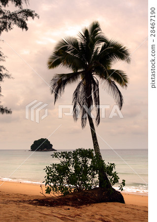 Tioman island, Malaysia .. Tioman island, Malaysia .. 28467190
