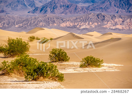 Death Valley National Park, Mesquite dunes 28468267