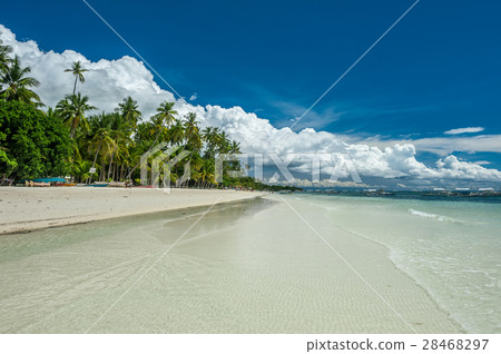 Tropical beach with palm trees at Philippines 28468297