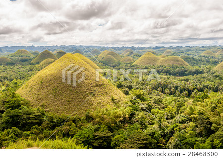 Chocolate hills landscape at Philippines 28468300