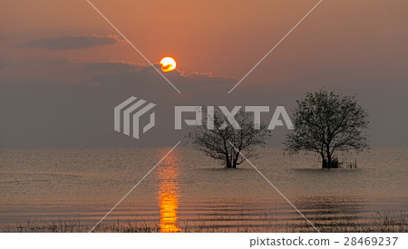 Sunrise at Pakpra, Songkhla lake, Thailand. 28469237