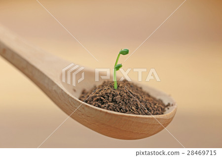Futaba of spoon 28469715
