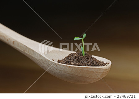 Futaba of spoon 28469721