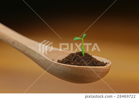 Futaba of spoon 28469722