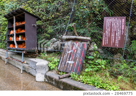 Kurobe gorge hiking image 28469775